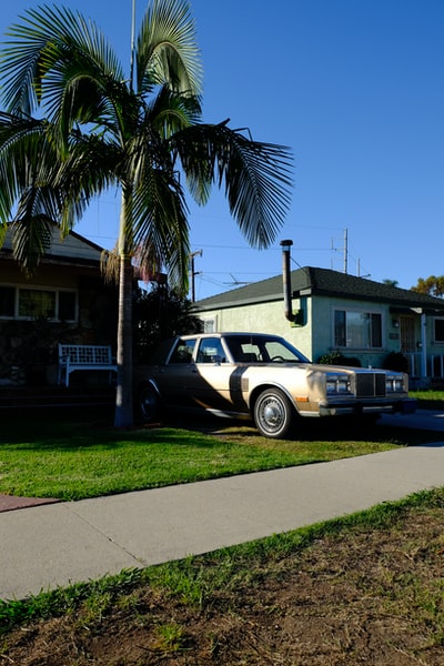 During the day, white car parked near the green palm trees
